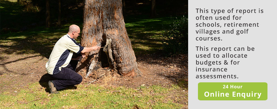 Tree-hazard-assesment